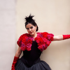 Els Focs Artificials