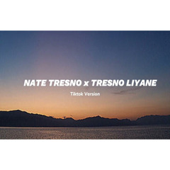 Veraliie x Northsle ft. Agiff - NATE TRESNO X TRESNO LIYANE | ACF Lyrics (Tiktok Version)