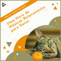 Sons suaves para dormir