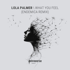 Lola Palmer - What You Feel (Endemica Remix)