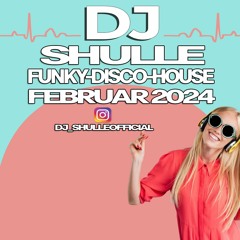Funky Disco House Mix Februar 2k24 Mixed By Shulle