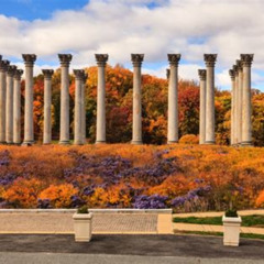 Best Things To Do In Washington Dc October 2025 Tours Review