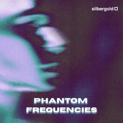 Groove Police @ Phantom Frequencies, Silbergold, 21.06.25
