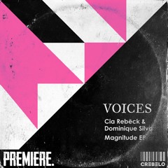 PREMIERE: Cia Rebëck & Dominique Silva - Magnitude [VCS008]