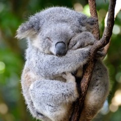 Guest Mix for Depth Charge Sessions January 2025