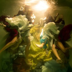 Terravibes 2024: A Dance Under the Sun