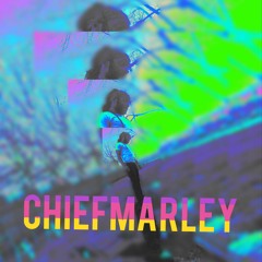 Fill Up Da Bag - ChiefMarley(Brok3n Chainz)