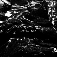 A Split Second - Flesh (HOFFMAN Remix)