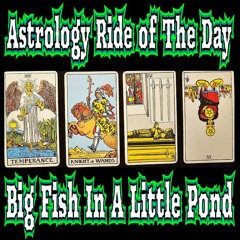 Big Fish In A Little Pond