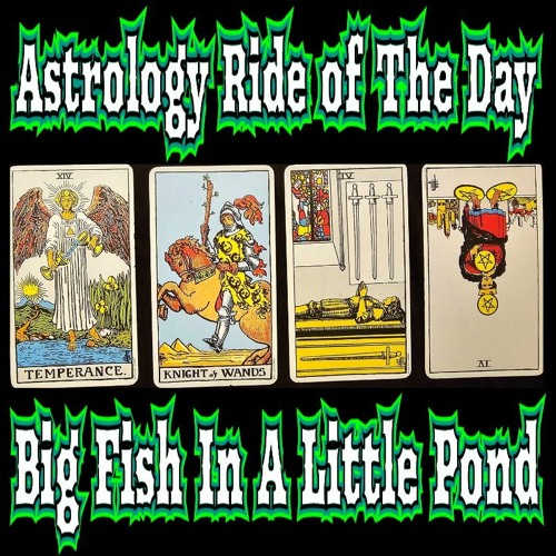 Big Fish In A Little Pond