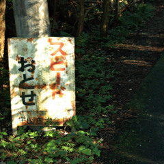 Plz don't get caught