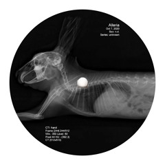 PREMIERE: Alleria - Lepus Europaeus