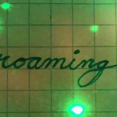 roaming