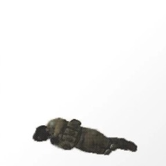 headshøt.wav