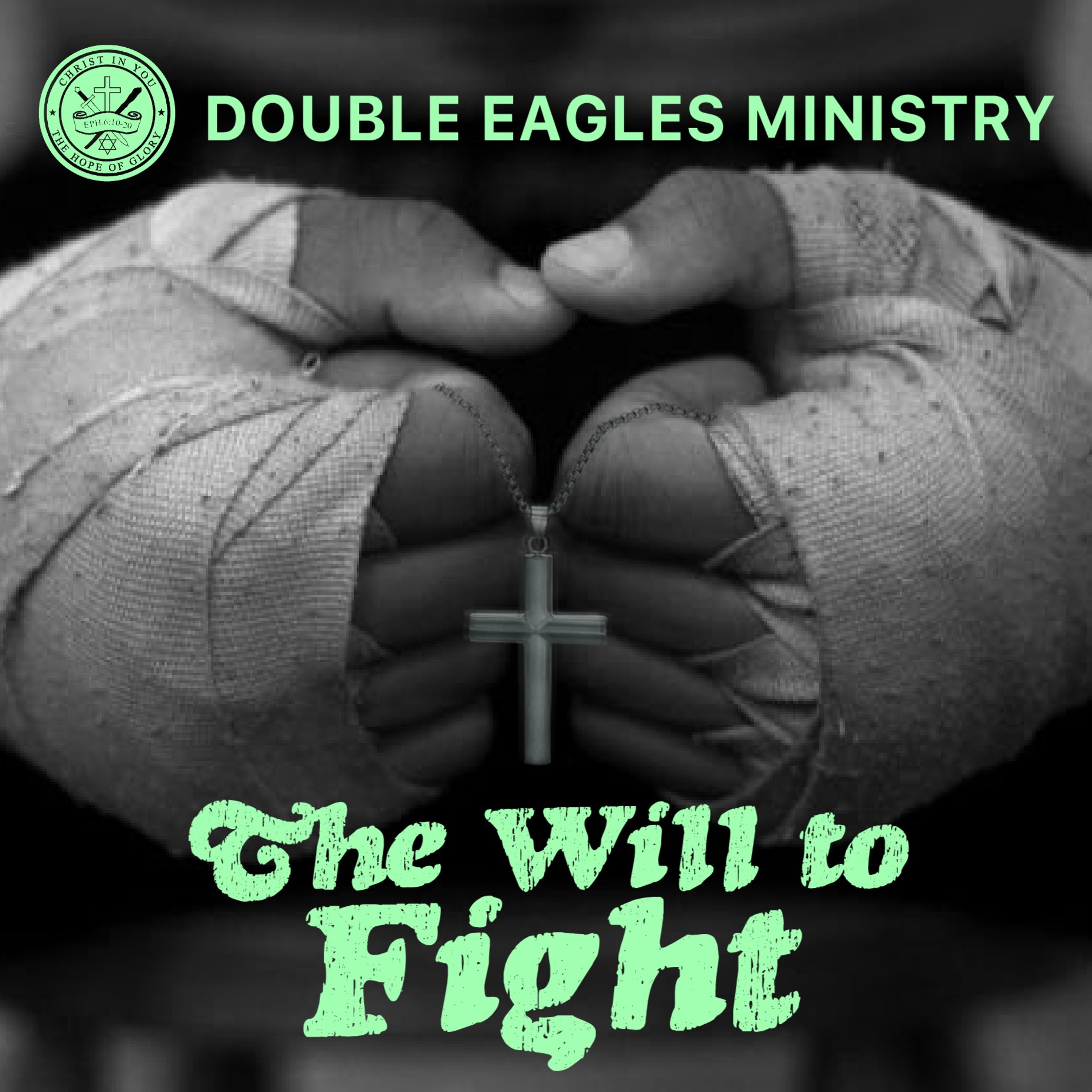 The Will To Fight episode artwork