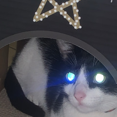 444