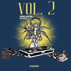 Vol. 2 Organic House Mix Pulse Pilot