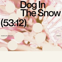 Take a Trip with Dog In The Snow