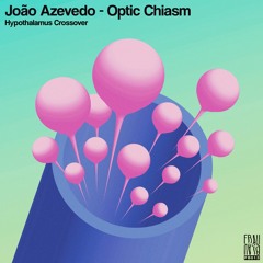João Azevedo - Brain Shaped Box
