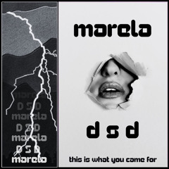 Marela x D S D - This Is What You Came For