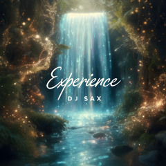 Experience