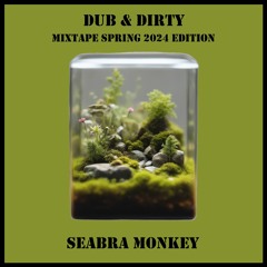 #SPECIAL GUEST: Seabra Monkey - AMSTERDAM