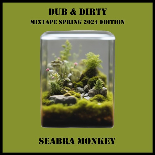 #SPECIAL GUEST: Seabra Monkey - AMSTERDAM