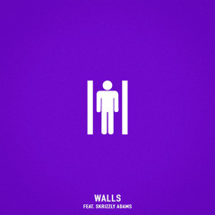 Walls (feat. Skrizzly Adams)
