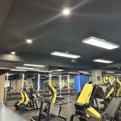 Gym lex v2