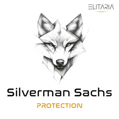 Silverman Sachs - Protection (Original Mix)