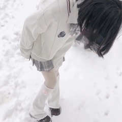 why dont you understand /pk65