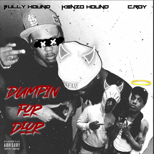 Bully Hound X Kenzo Hound X C.ROY-DUMPING 4 DIOR