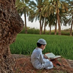 كفاية ذنوب اا إنشاد أحمد حسان اا مؤثر جداً