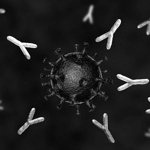SEKT-R - Immunité Déficiente V2 [BLITZ 0.9]