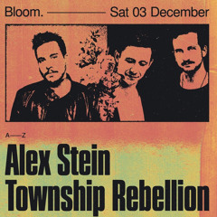 AVōKA @ Township Rebellion // Alex Stein