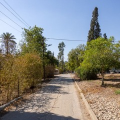 קינג אוף אלבס גירסת הספיישל