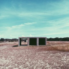 Chulita Cienfuegos - Crying in The Buc-ee’s Parking Lot