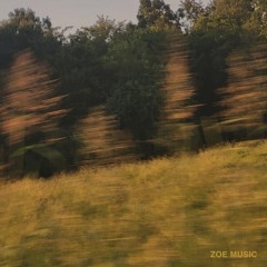Zoe - With Me (DEBA Remix)
