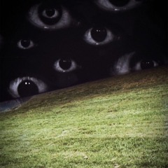 Lost Woods (slowed + reverb)