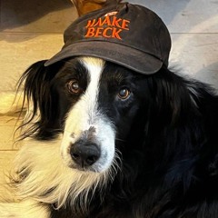 embark