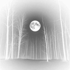 Moonlight