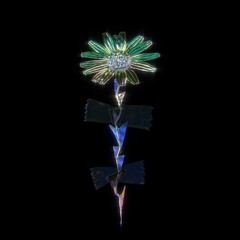 Pim - Daisy 2.0 (Ashnikko Cover)