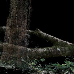 Manifesting at Night (Ongoing)