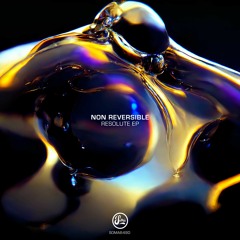 Non Reversible - Plurality [Premiere | SOMA649D]