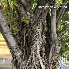 Invocation w/ Zarina [29.01.25]