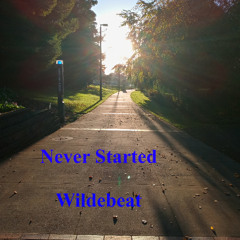 Never Started