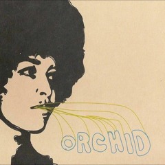 le chaos, c'est nous tous