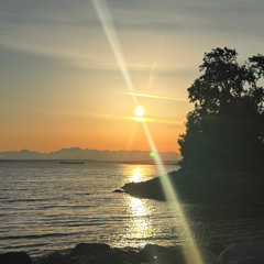 reflection & sunbeam on Juneteenth- 6_19_25, 6.23 PM