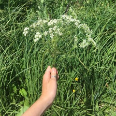 Light Out Of Our Shadows (Original)