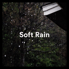 Soft Patter of Raindrops